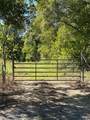  Port Hudson-Pride Rd Road - Photo 10