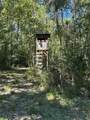  Port Hudson-Pride Rd Road - Photo 2