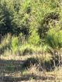  Port Hudson-Pride Rd Road - Photo 3