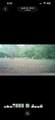 32380 Holmesville Road - Photo 49