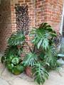 727 Barracks Street - Photo 11