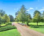 11500 70 AC DAMIANO RD Road - Photo 50