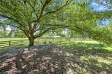 5474 Bayou Paul Road - Photo 32