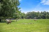 5474 Bayou Paul Road - Photo 58