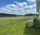 819 Hwy 501 Highway - Photo 5