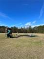 2028 White Dove Drive - Photo 13