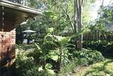 407 Live Oak Drive - Photo 35