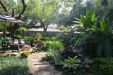 407 Live Oak Drive - Photo 4