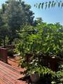 13251 Dwyer Boulevard - Photo 29
