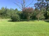 43314 Willie Youngblood Road - Photo 3
