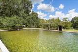 28221 Main Street - Photo 38