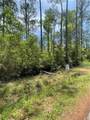 29244 Cyprian Drive - Photo 2