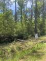 29244 Cyprian Drive - Photo 3