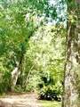 707 Copal Street - Photo 2