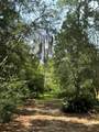 707 Copal Street - Photo 3