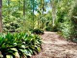 707 Copal Street - Photo 4