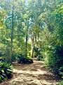 707 Copal Street - Photo 5