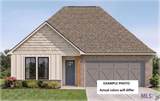 12512 Goodbee Preserve Lane - Photo 1