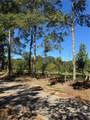  Ebb Guillot Road - Photo 3