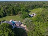 54198 Straughan Nursery Road - Photo 59