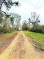 38090 Emmett Carter Road - Photo 14