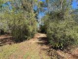 707 Copal Street - Photo 5