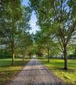 730 Copal Street - Photo 11