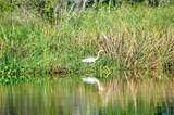 TBD Bedico Creek - Photo 19
