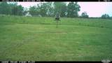 255 Pecan Way - Photo 44