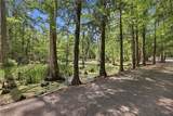 17049 Three Rivers Road - Photo 12