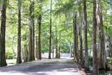 17049 Three Rivers Road - Photo 13