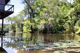 17049 Three Rivers Road - Photo 20
