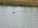 20140 Walden Street - Photo 12