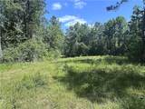 14.78 Acres Sidney Spell Road - Photo 5