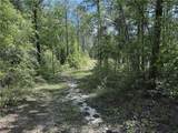 14.78 Acres Sidney Spell Road - Photo 6