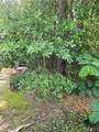  Daisy Street - Photo 1
