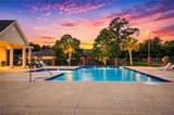 28441 Apple Blossom Lane - Photo 3