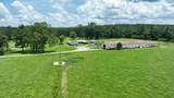 1951 3RD Street - Photo 4