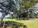 841 Camphill Drive - Photo 6
