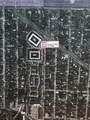 800 Rue Burgundy Street - Photo 4