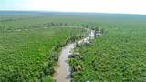 TBD Bedico Creek - Photo 20