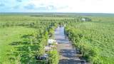 TBD Bedico Creek - Photo 22