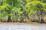 TBD Bedico Creek - Photo 26