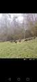 62258 Friendship Church Road - Photo 35