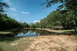 54198 Straughan Nursery Road - Photo 52