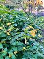 2501 Marye Street - Photo 50