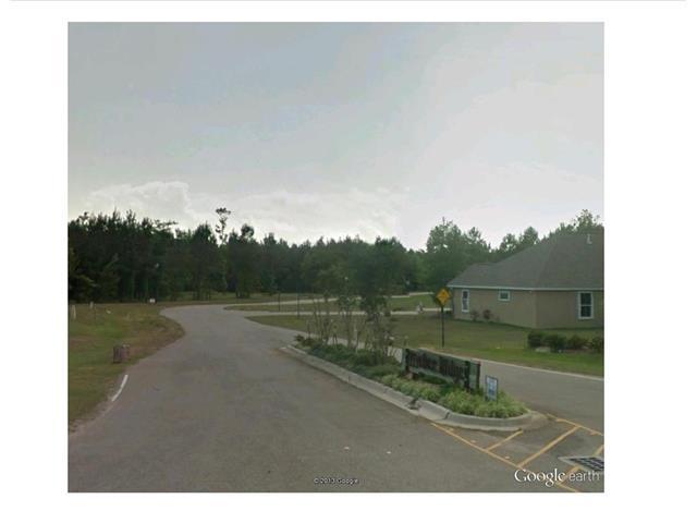 Eagle Drive - Photo 1