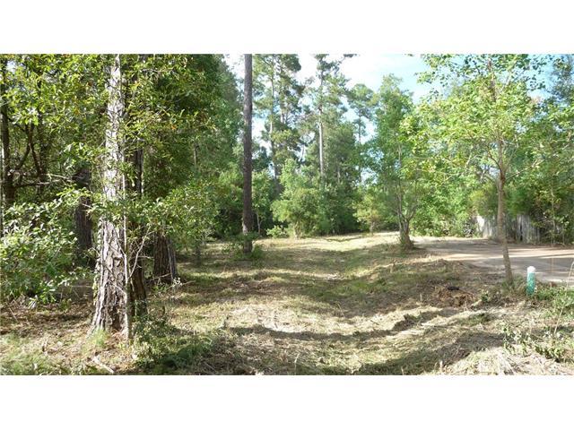 22503 Level Street - Photo 1
