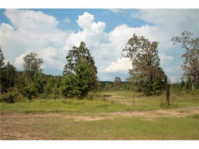 16567 Amanda West Lane Lane - Photo 1