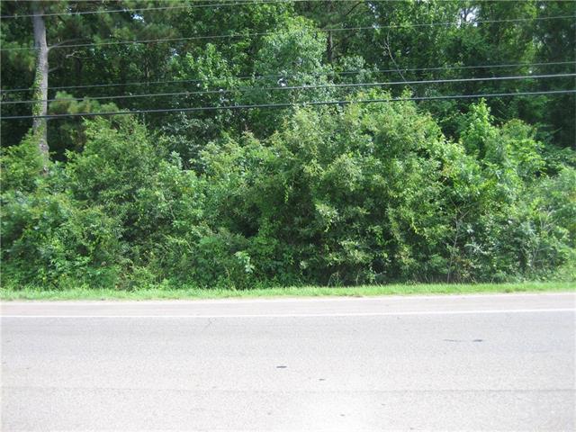 Hwy 190 Highway - Photo 1
